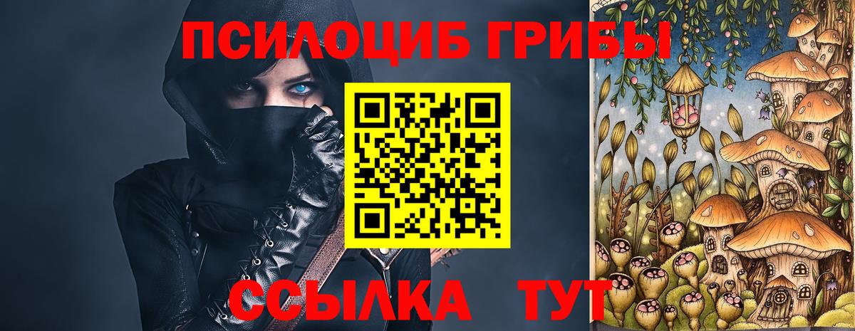 Псилоцибиновые грибы GOLDEN TEACHER  Вход с VPN  Красноярск  Псилоцибиновые грибы Psilocybe 