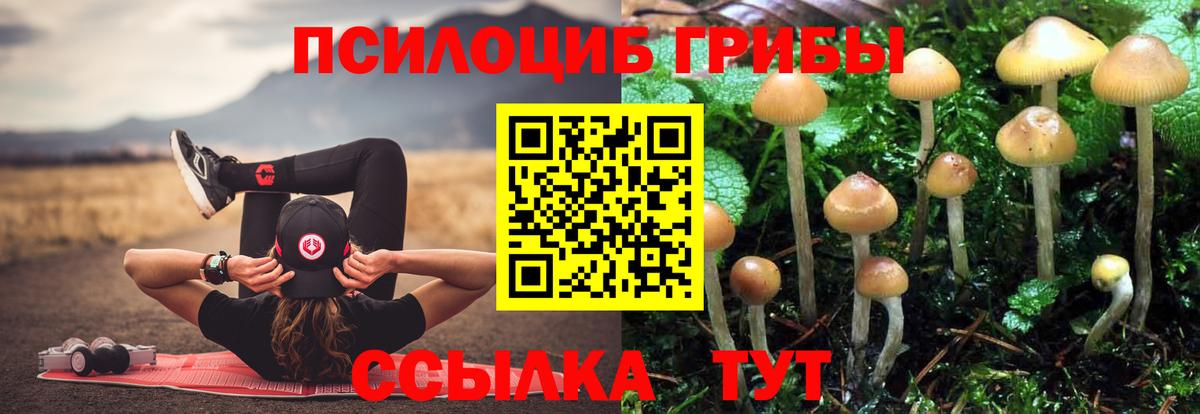 Галлюциногенные грибы MAGIC MUSHROOMS Красноярск